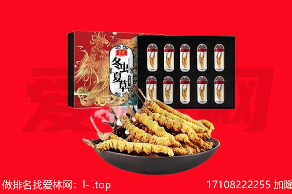 定边县回收虫草.jpg