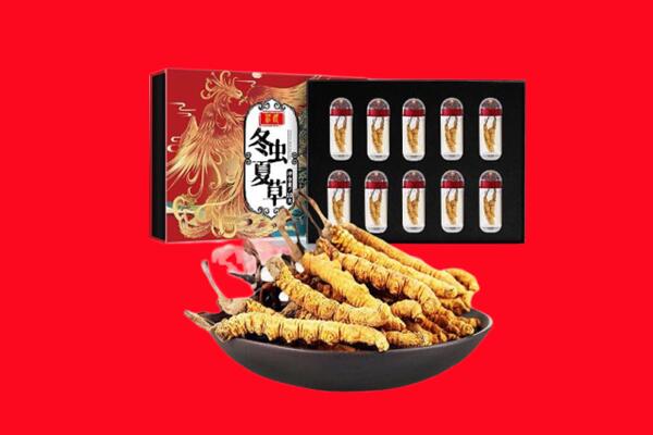 定边县回收虫草.jpg